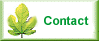 Contact Eden B and B