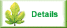 Details of Eden Bed and Breakfast